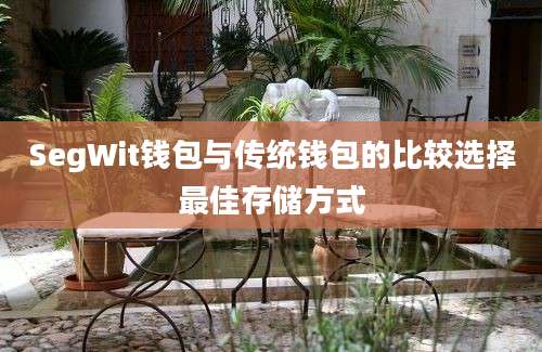 SegWit钱包与传统钱包的比较选择最佳存储方式