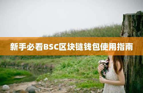 新手必看BSC区块链钱包使用指南