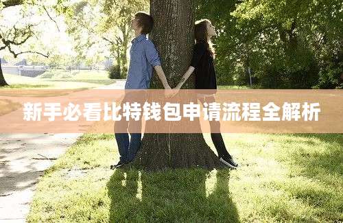 新手必看比特钱包申请流程全解析
