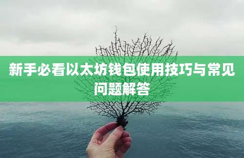 新手必看以太坊钱包使用技巧与常见问题解答
