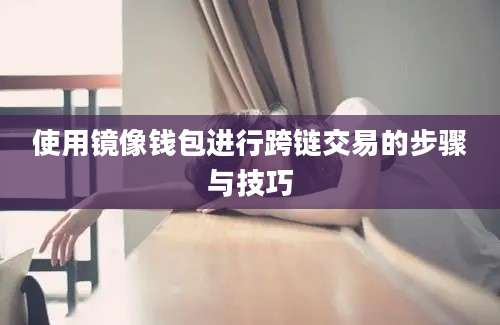 使用镜像钱包进行跨链交易的步骤与技巧
