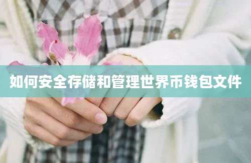 如何安全存储和管理世界币钱包文件