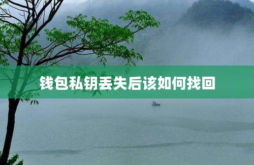 钱包私钥丢失后该如何找回