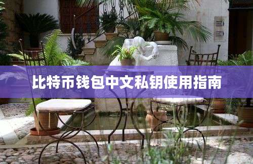 比特币钱包中文私钥使用指南
