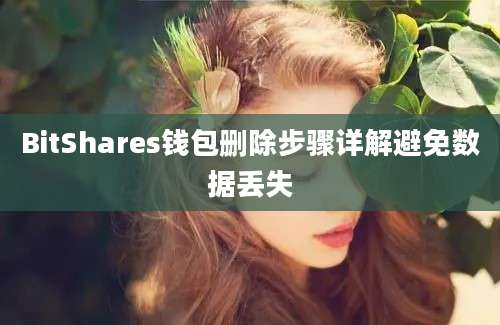 BitShares钱包删除步骤详解避免数据丢失