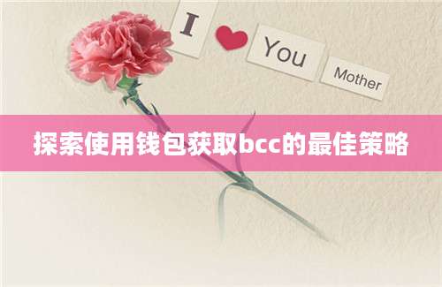 探索使用钱包获取bcc的最佳策略