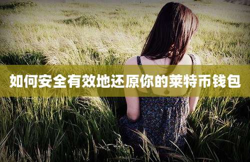 如何安全有效地还原你的莱特币钱包