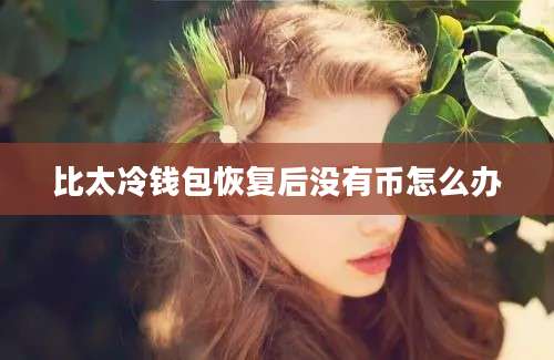 比太冷钱包恢复后没有币怎么办