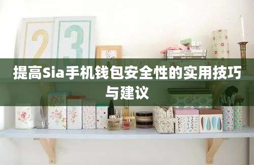 提高Sia手机钱包安全性的实用技巧与建议