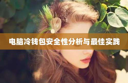 电脑冷钱包安全性分析与最佳实践