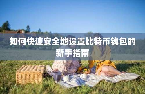 如何快速安全地设置比特币钱包的新手指南