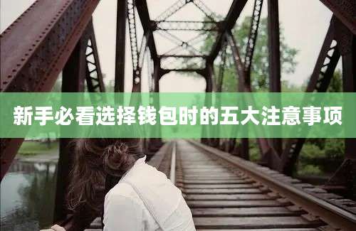 新手必看选择钱包时的五大注意事项