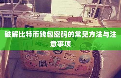 破解比特币钱包密码的常见方法与注意事项