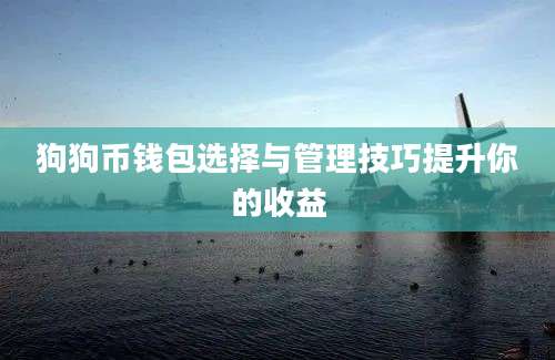 狗狗币钱包选择与管理技巧提升你的收益