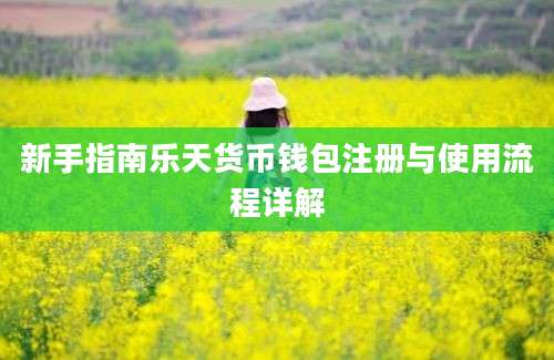新手指南乐天货币钱包注册与使用流程详解