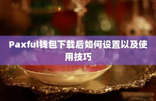 Paxful钱包下载后如何设置以及使用技巧