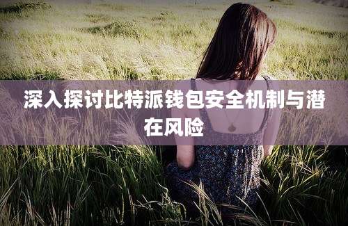 深入探讨比特派钱包安全机制与潜在风险