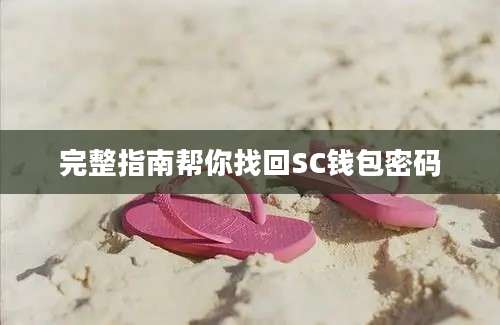 完整指南帮你找回SC钱包密码