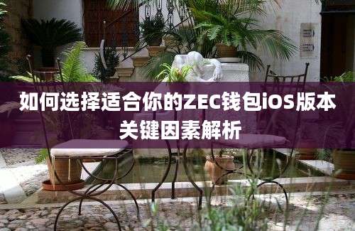 如何选择适合你的ZEC钱包iOS版本 关键因素解析