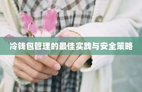 冷钱包管理的最佳实践与安全策略