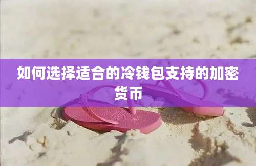 如何选择适合的冷钱包支持的加密货币