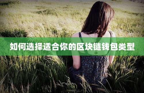 如何选择适合你的区块链钱包类型